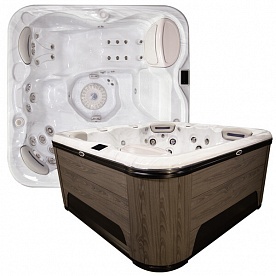 Спа бассейн Hydropool Signature 579 Gold