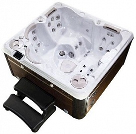 Спа бассейн Hydropool Self-Cleaning 495 Gold