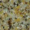 Golden Pebble